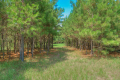 14310-FM-1488-Rd-44
