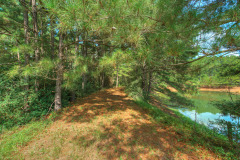 14310-FM-1488-Rd-60