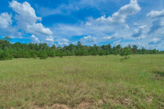 14310-FM-1488-Rd-64